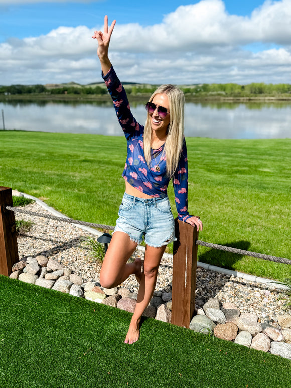 Mesh Stars and Stripes Long Sleeve Top
